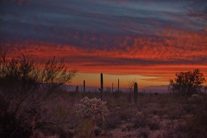 "Desert Twilight" by Bo Mackison, Seeded Earth Studio